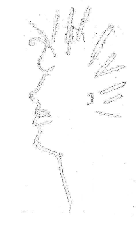 rysunek - portret Kuby Sto